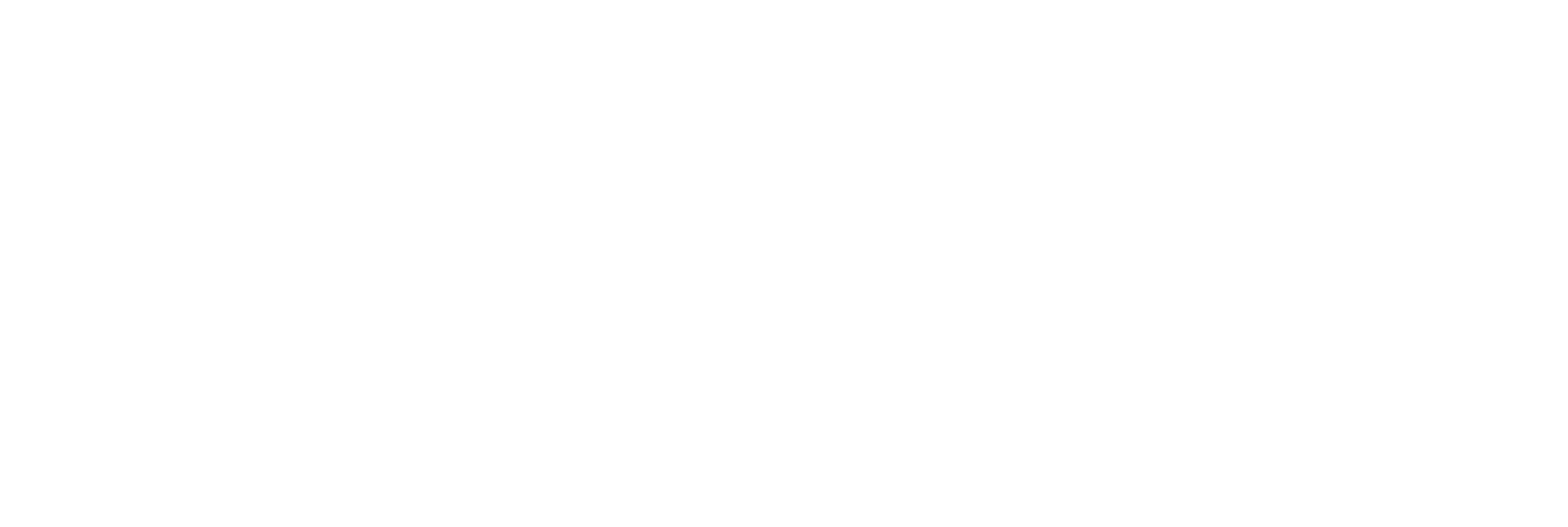 Route X