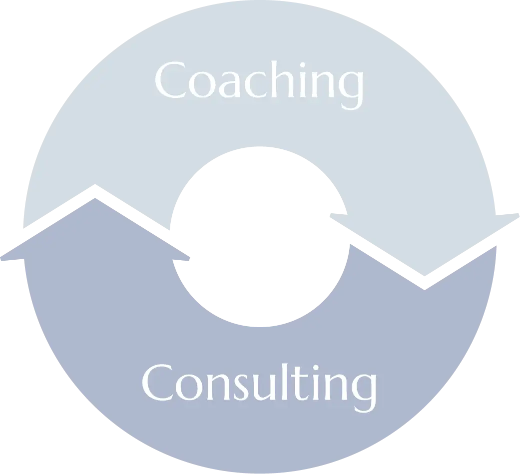 Coaching / Consulting